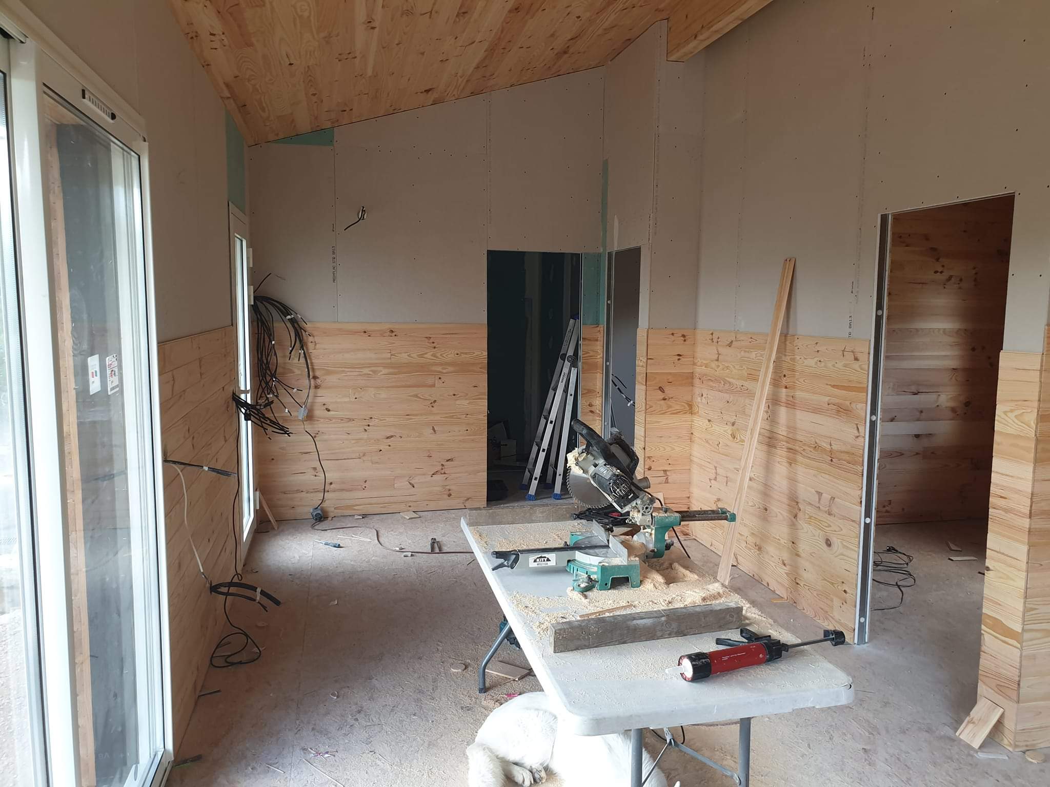 FB_IMG_1728485558780